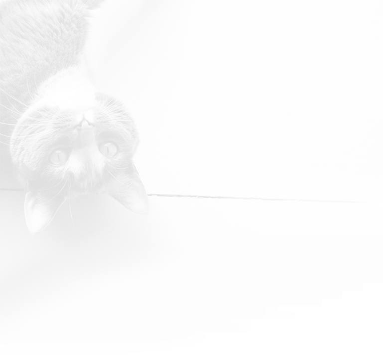 Careers Wellness Pet Company