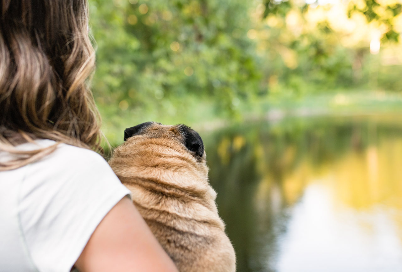 Sustainability Wellness Pet Company