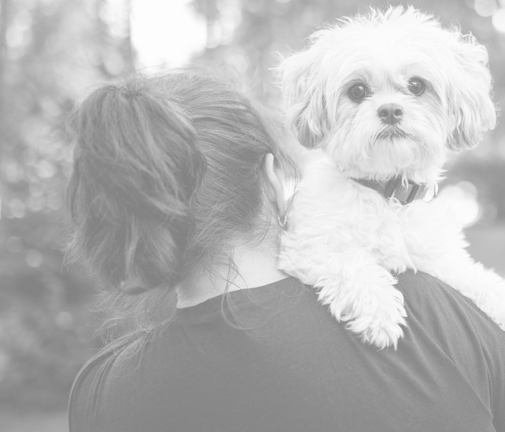 Home Wellness Pet Company