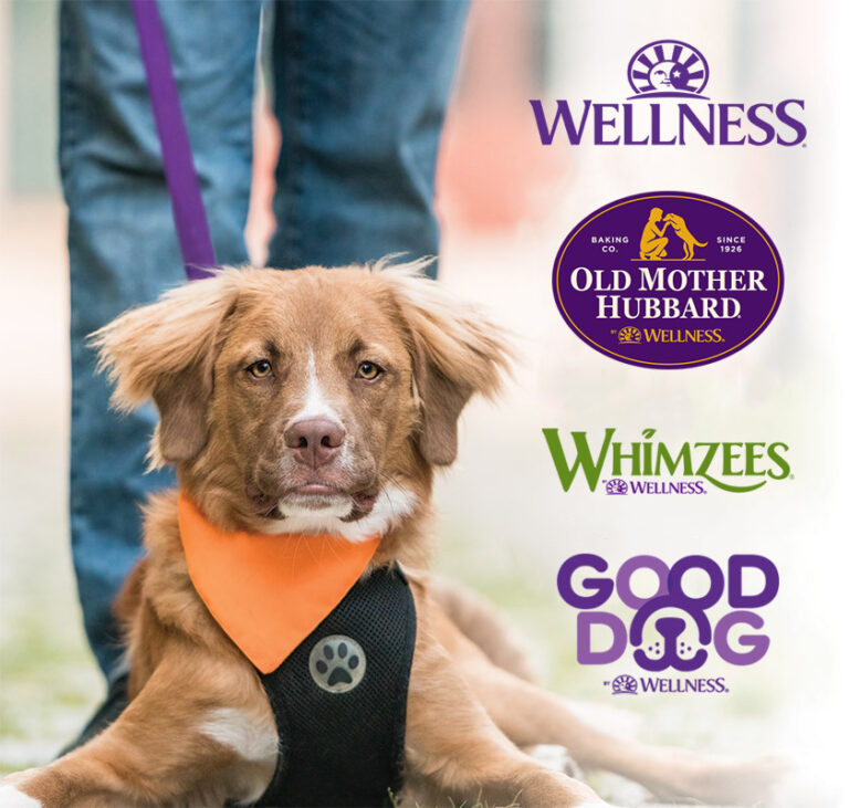 Home Wellness Pet Company