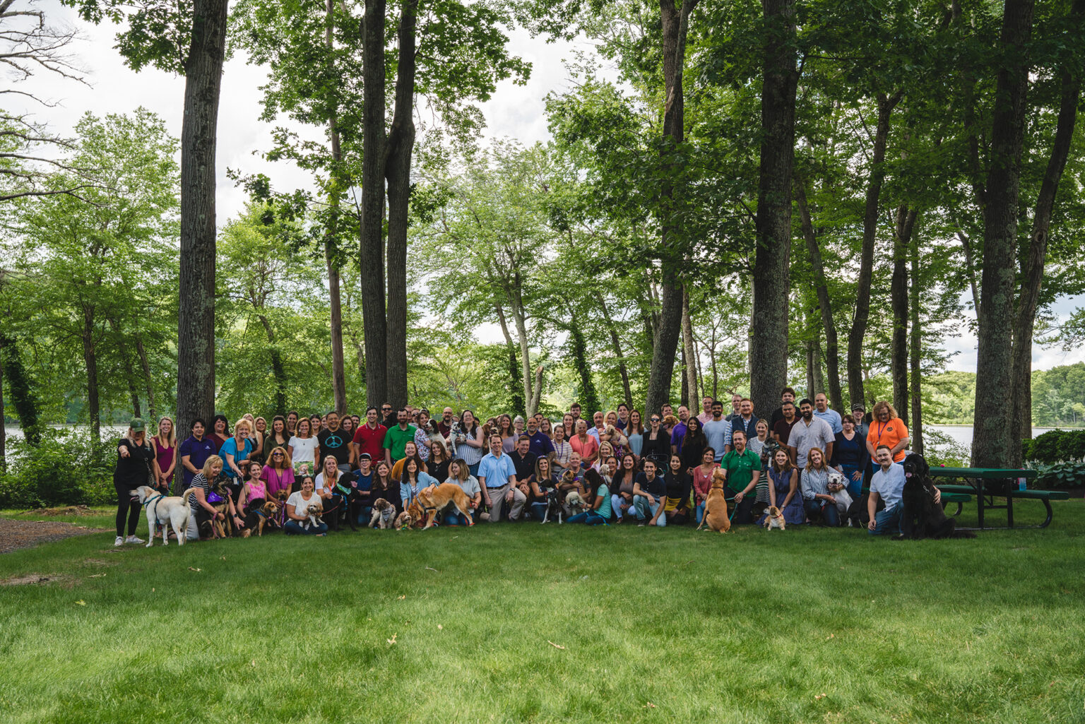 Careers Wellness Pet Company