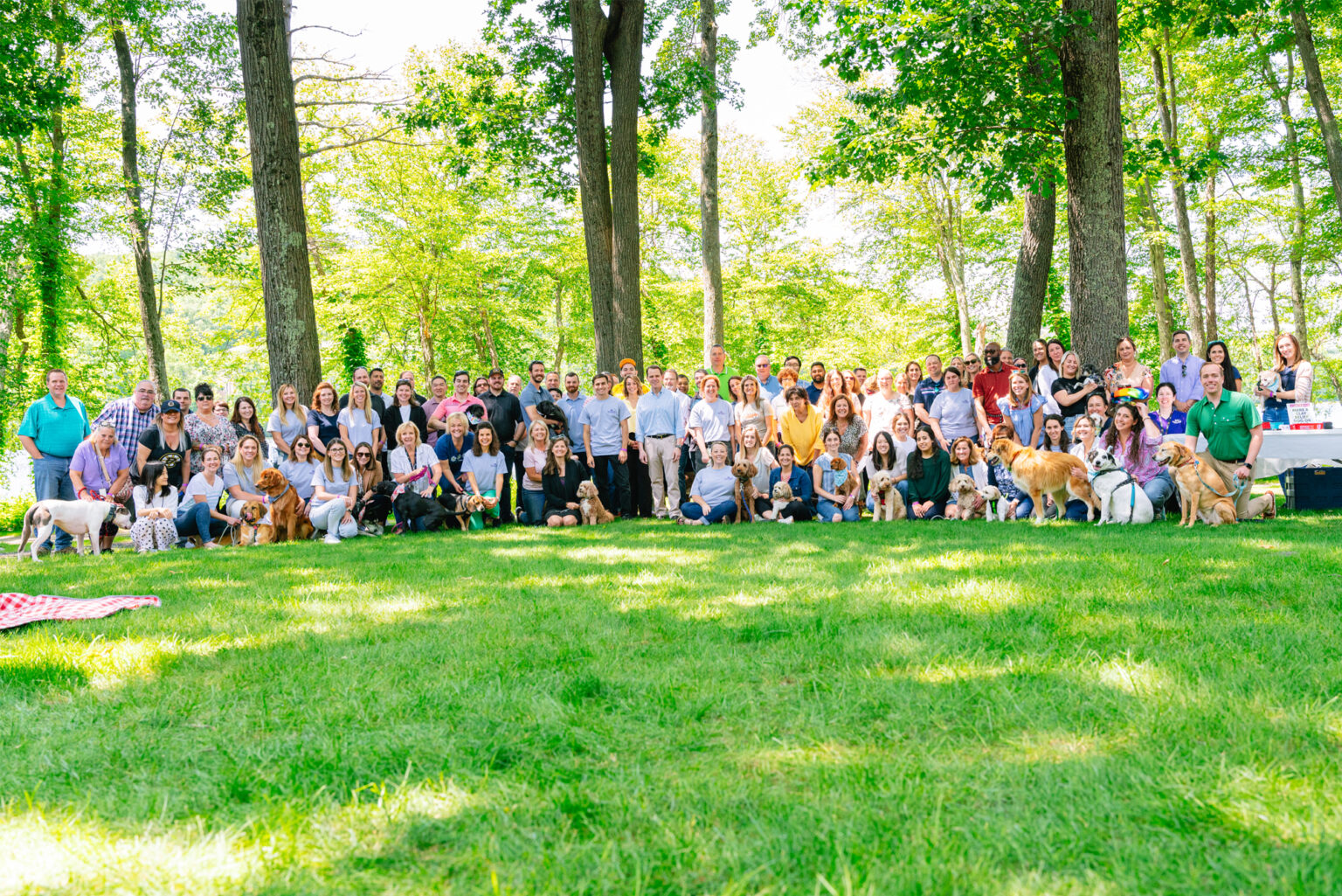 Careers Wellness Pet Company