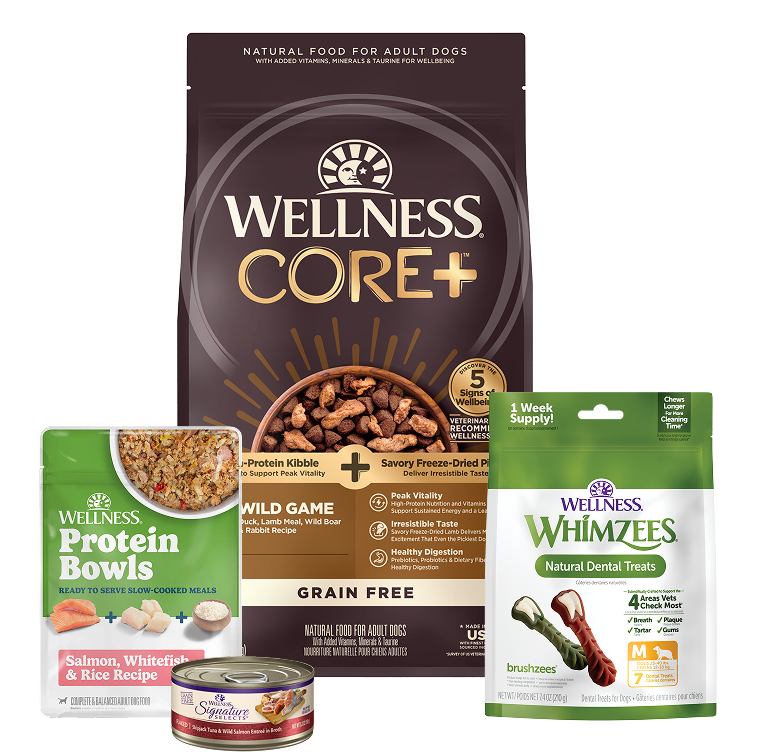 array of wellness products